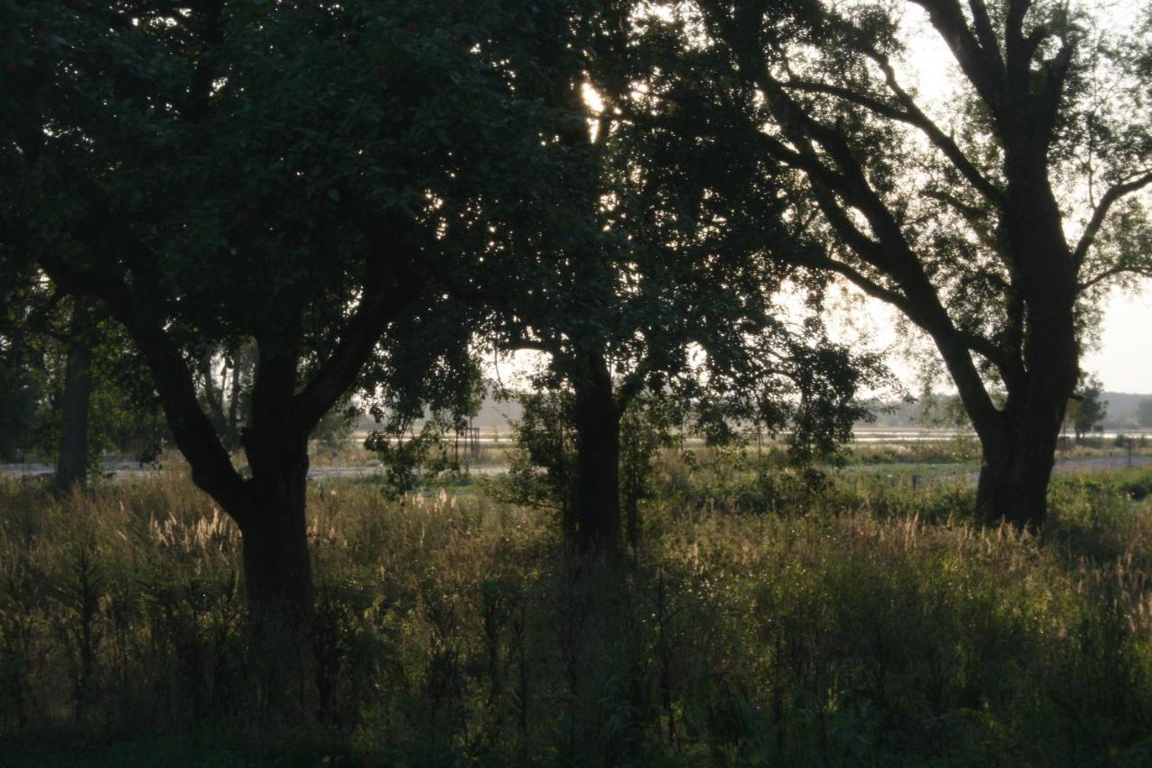 Landhaus An Der Wiek Poseritz Екстериор снимка